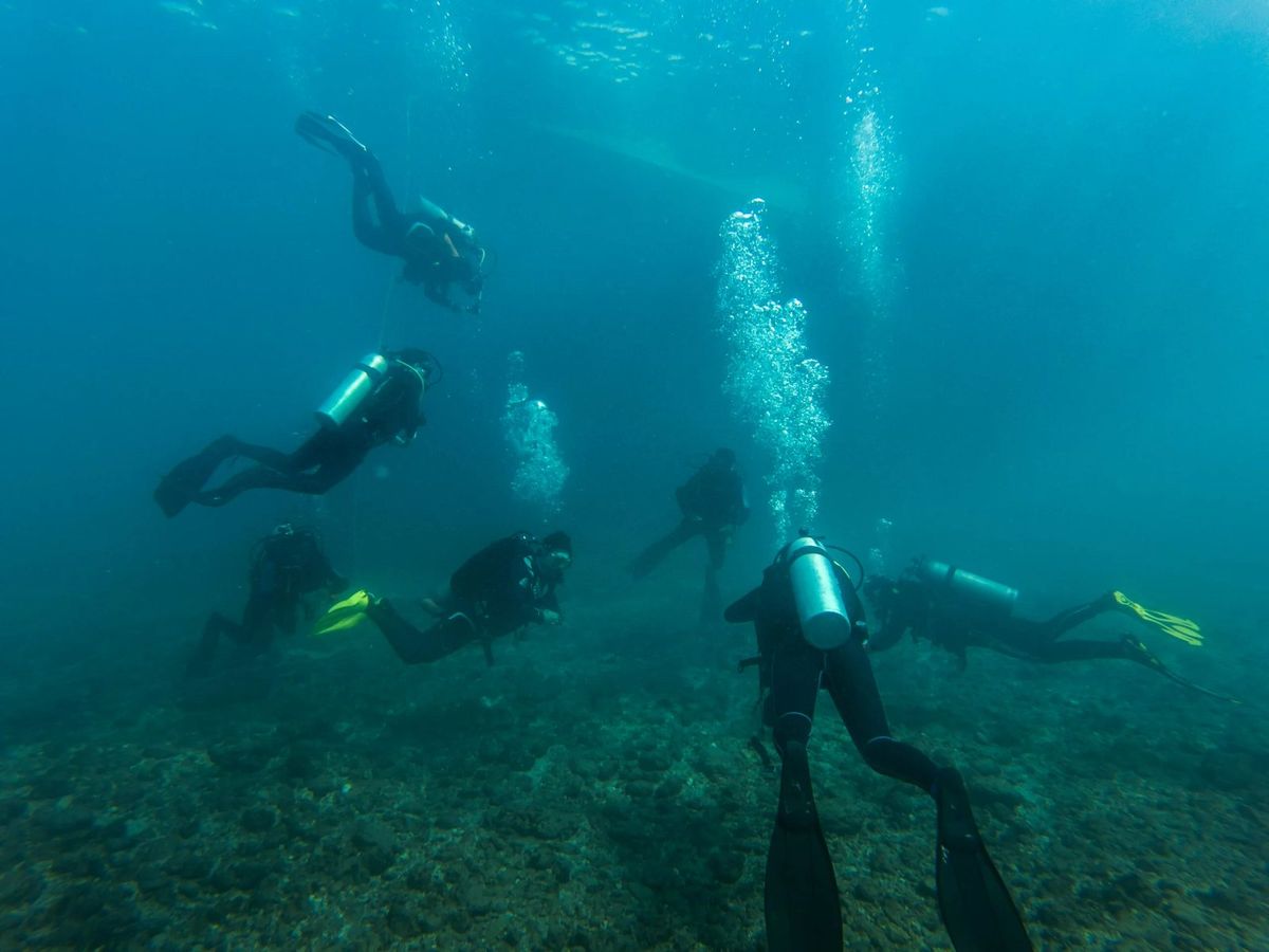 Buzos en su curso Open Water
